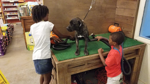 Pet Supply Store «Wags & Whiskers - West Nashville», reviews and photos, 3731 Charlotte Ave, Nashville, TN 37209, USA