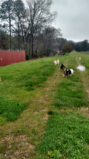 Coffee Shop «Starbucks», reviews and photos, 3110 Zelda Rd, Montgomery, AL 36106, USA