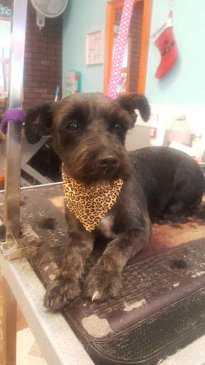 Tobacco Shop «The Smokers Edge Smoke and Vape Shop», reviews and photos, 19756 N John Wayne Pkwy #114, Maricopa, AZ 85138, USA