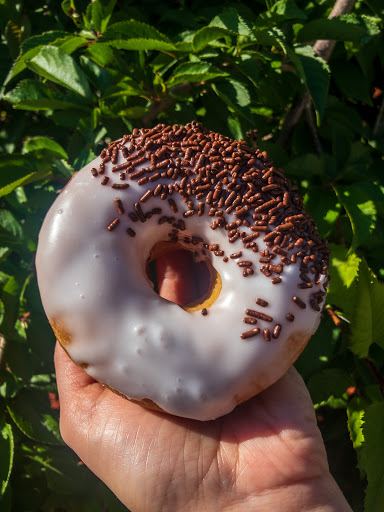 Donut Shop «Boston Donuts», reviews and photos, 338 Park Ave, Worcester, MA 01610, USA