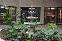 City Insight Houston - Photo 5 - Car repair in Houston, TX, Houston