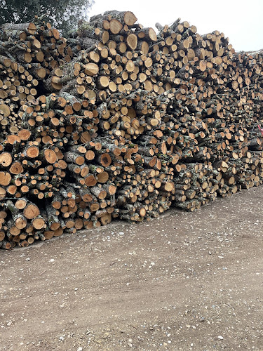 Magasin de bois de chauffage Ent Artalle bois de chauffage Gréoux-les-Bains