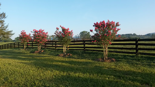 Ranch «The Marriott Ranch Bed and Breakfast», reviews and photos, 5305 Marriott Ln, Hume, VA 22639, USA