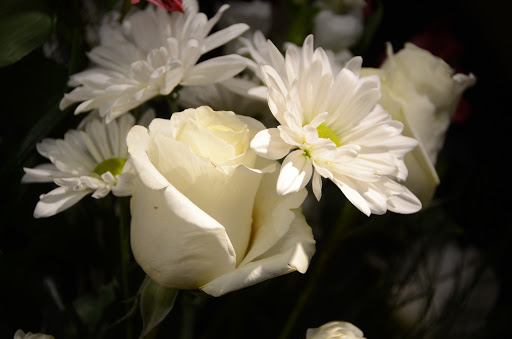 Florist «A New Leaf Flowers and Gifts», reviews and photos, 4106 Monona Dr, Madison, WI 53716, USA