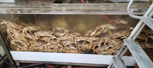 Asian Grocery Store «Vinh Phat Market», reviews and photos, 6105 Stockton Blvd, Sacramento, CA 95824, USA