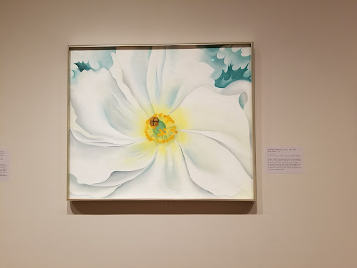 Art Gallery «Addison Gallery of American Art», reviews and photos, 180 Main St, Andover, MA 01810, USA