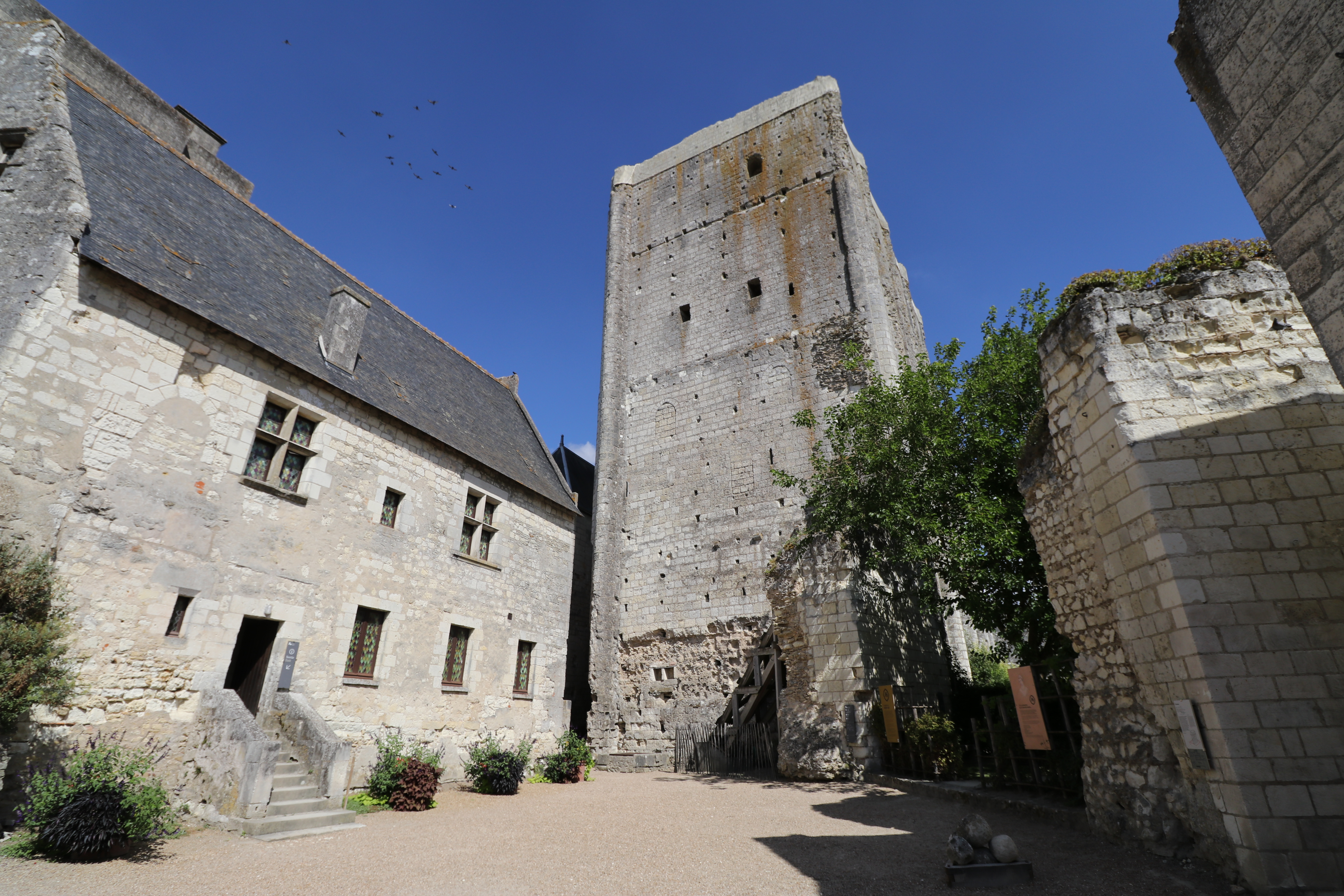 Photo n° 3 de l'avis de Patrice.e fait le 26/08/2022 à 17:49