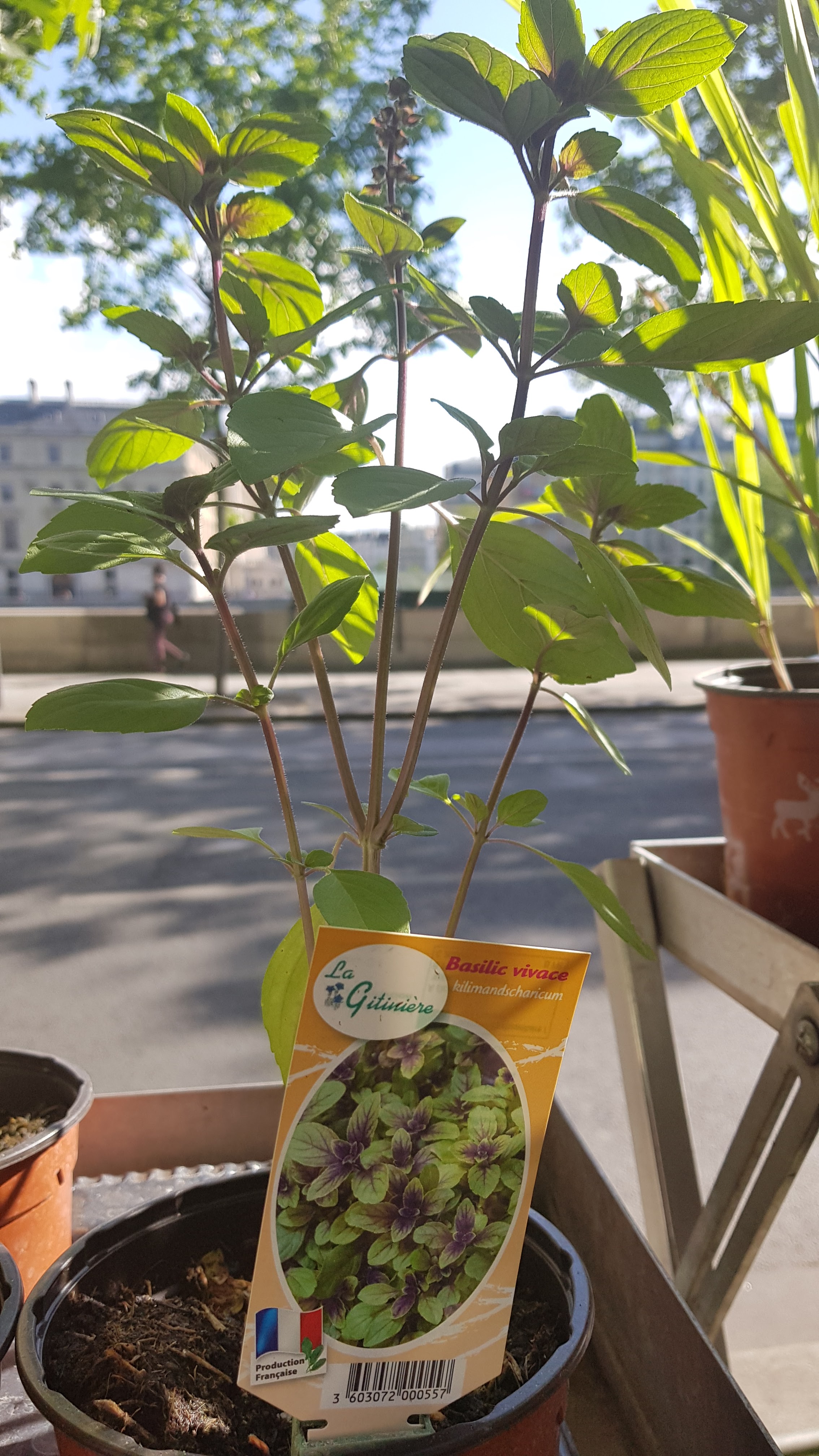 Photo n° 4 de l'avis de Cheri.a fait le 23/05/2020 à 16:34