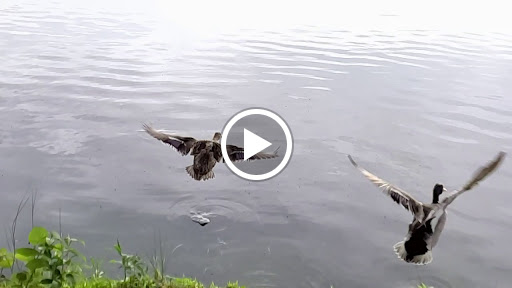 State Park «Hook Mountain State Park», reviews and photos, N Rte 9W, Nyack, NY 10960, USA