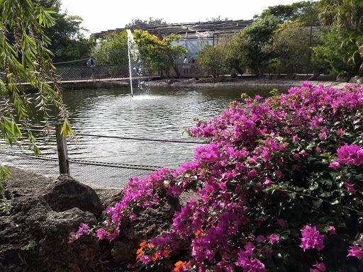 Tourist Attraction «Butterfly World», reviews and photos, 3600 W Sample Rd, Coconut Creek, FL 33073, USA