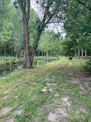 Arboretum à Rouy-le-Petit