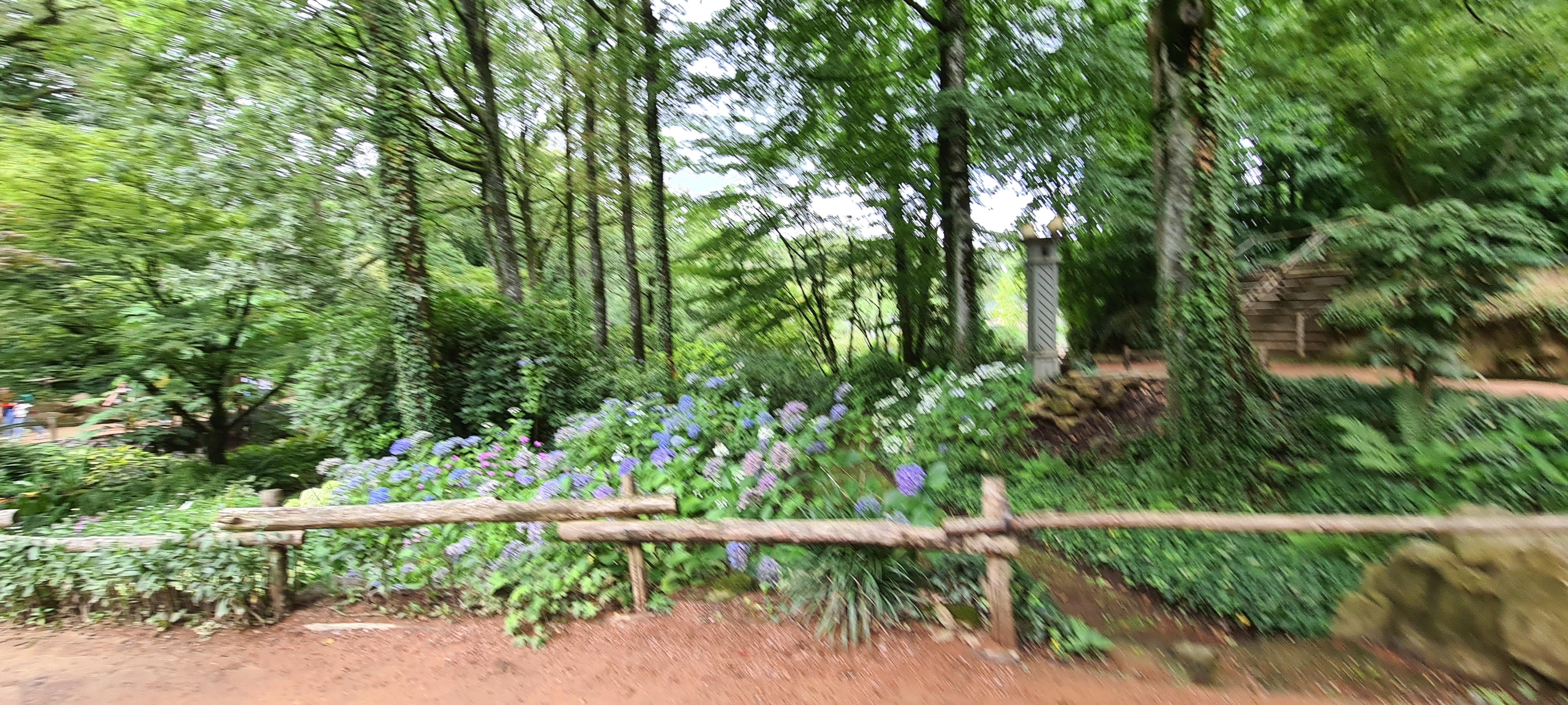 Photo n° 2 de l'avis de Jc. fait le 31/07/2023 à 08:08