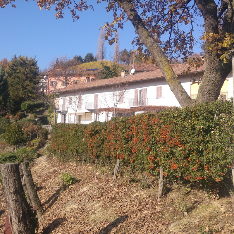 Azienda Agricola LUIGI CASTINO