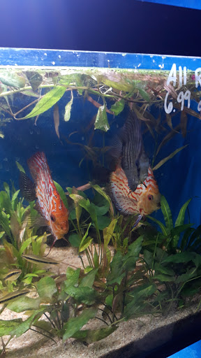 Pet Supply Store «House of Pets Inc», reviews and photos, 29500 Ford Rd, Garden City, MI 48135, USA