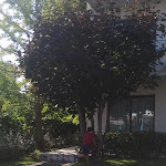 Photo n°1 de l'avis de Lorena.i fait le 09/09/2021 à 16:57 sur le  Hotel Porto Azzurro à Sirmione