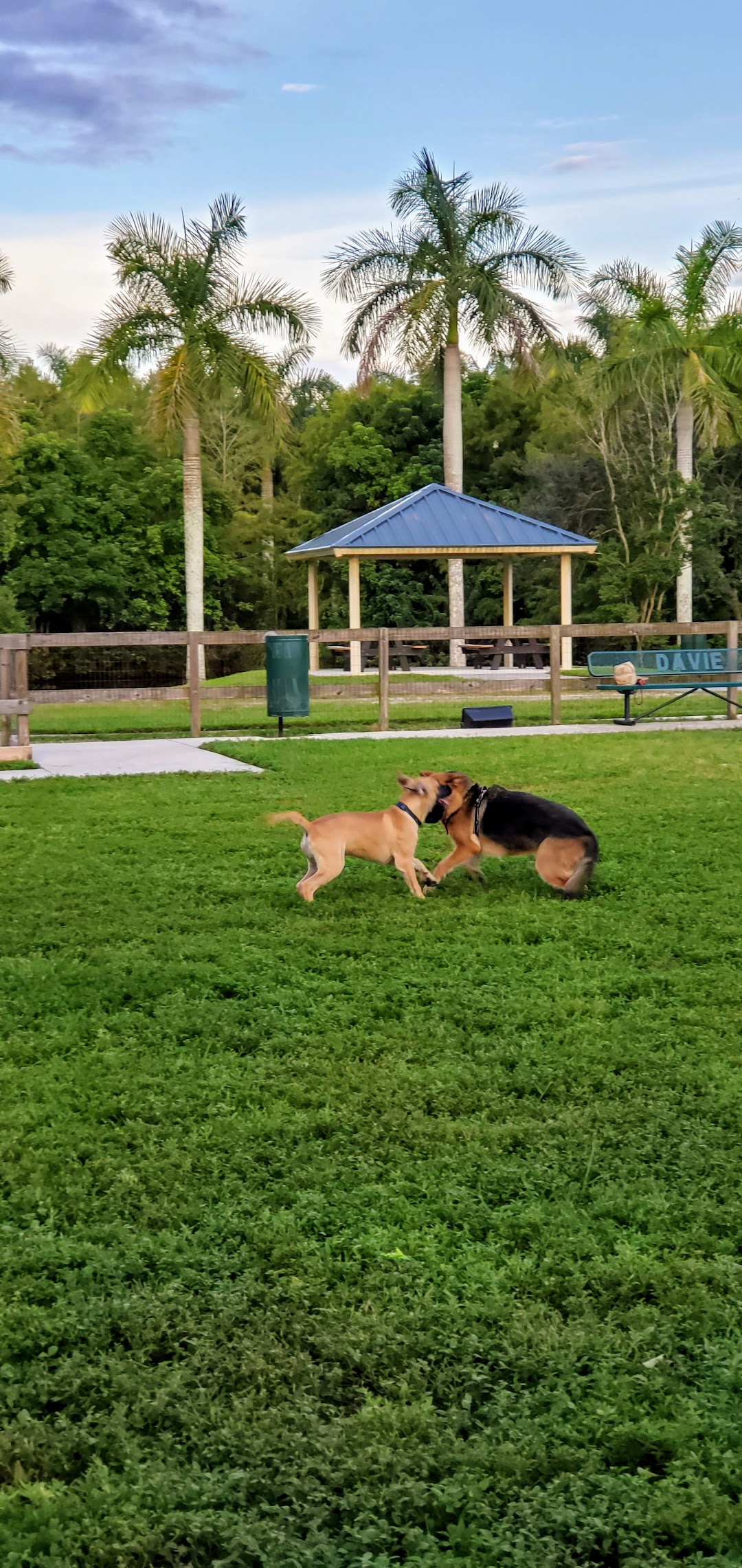 Peaceful Ridge Dog Park