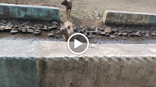 Tourist Attraction «Adirondack Scenic Railroad», reviews and photos, 321 Main St, Utica, NY 13501, USA