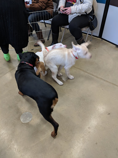 Pet Supply Store «Petco Animal Supplies», reviews and photos, 28400 Dequindre Rd, Warren, MI 48092, USA