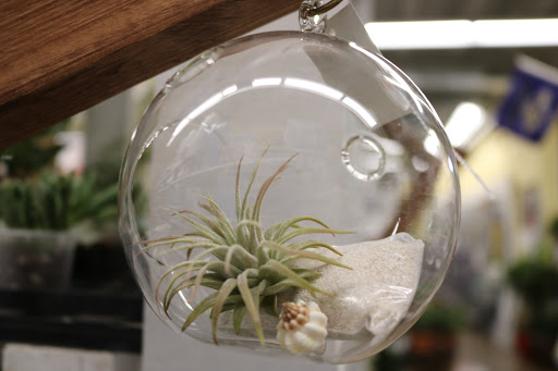 Hardware Store «Canton Ace Hardware», reviews and photos, 1022 Binney St, Baltimore, MD 21224, USA