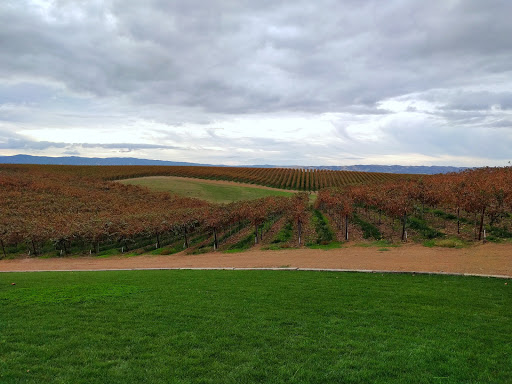 Winery «Matchbook Wine Company», reviews and photos, 12300 County Rd 92B, Zamora, CA 95698, USA