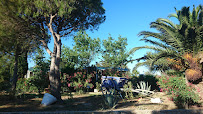 Photos des visiteurs du Restaurant Campings Capfun à Le Barcarès - n°16