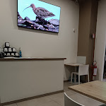 Photo n°3 de l'avis de Keiondra.o fait le 12/05/2023 à 18:46 sur le  Ristorante Greco Sirtaki à Rovellasca