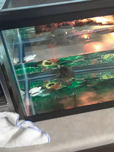 Discount Store «Dollar General», reviews and photos, 4404 Grand Blvd, New Port Richey, FL 34652, USA