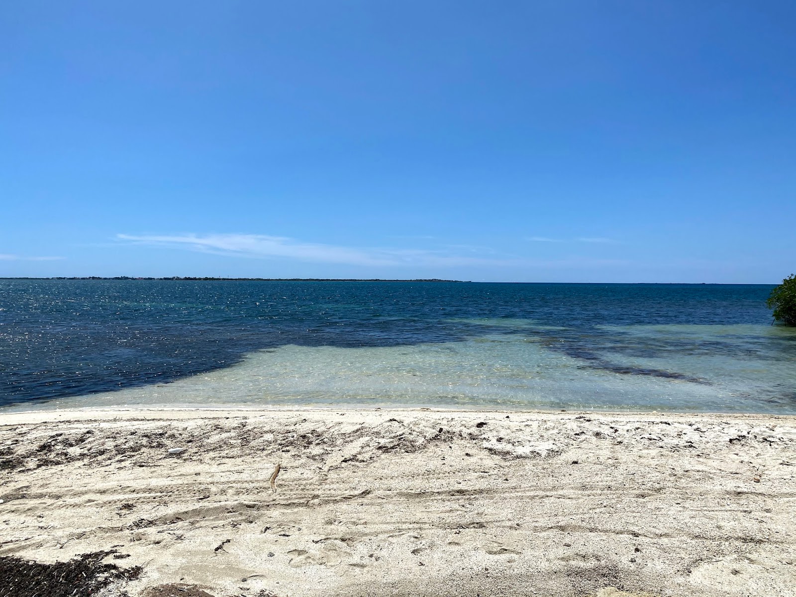 Corbanitos beach的照片 具有有点干净级别的清洁度