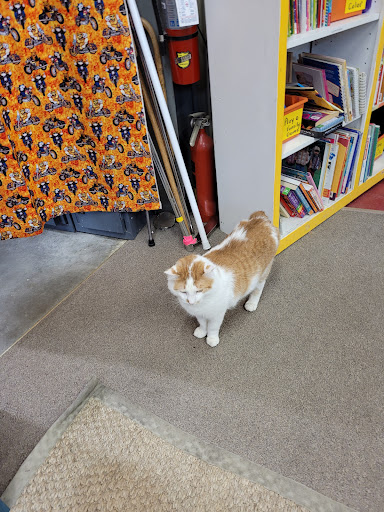 Thrift Store «Ladders Thrift», reviews and photos