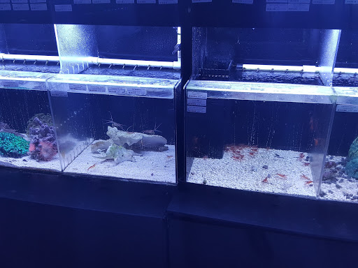 Tropical Fish Store «Beyond the Reef», reviews and photos, 205 W Golf Rd, Schaumburg, IL 60195, USA