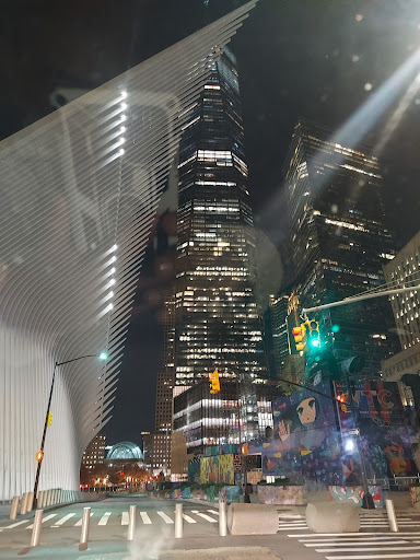 Car Wash «Atlantic Brushless Car Wash», reviews and photos, 1090 Atlantic Ave, Brooklyn, NY 11238, USA