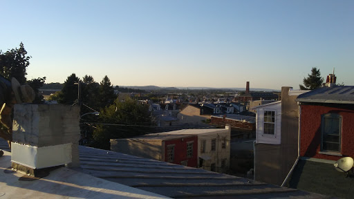 Pet Store «12th & Spring Pet Shop», reviews and photos, 1000 N 12th St, Reading, PA 19604, USA