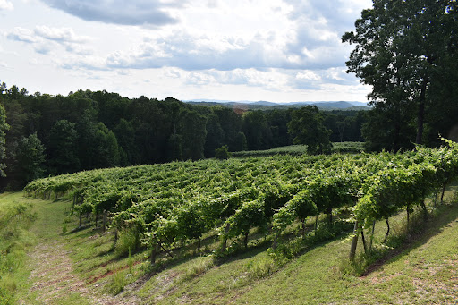 Winery «Wolf Mountain Vineyards», reviews and photos, 180 Wolf Mountain Trail, Dahlonega, GA 30533, USA