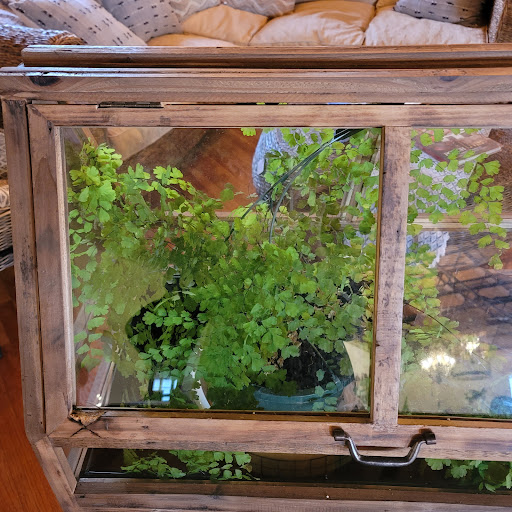 Gift Shop «In High Cotton», reviews and photos, 158 W Jefferson St, Madison, GA 30650, USA