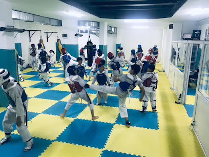 Sultanbeyli Zirve Spor Kulübü Taekwondo