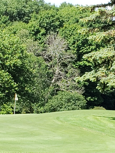 Golf Course «Brookfield Hills Golf Course», reviews and photos, 16075 Pinehurst Dr, Brookfield, WI 53005, USA