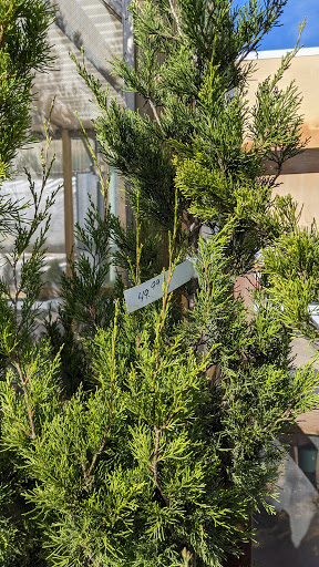 Hardware Store «Hagan Ace Hardware», reviews and photos, 6567 US-90, Glen St Mary, FL 32040, USA