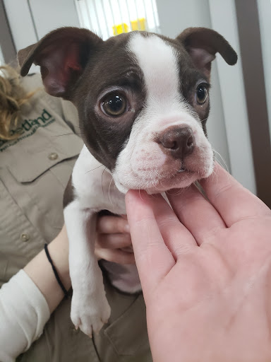 Pet Store «Petland Lancaster», reviews and photos, 1400 River Valley Cir N, Lancaster, OH 43130, USA