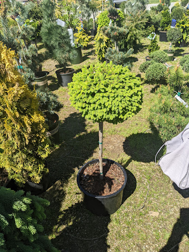 Garden Center «Quality Gardens», reviews and photos, 409 PA-228, Valencia, PA 16059, USA