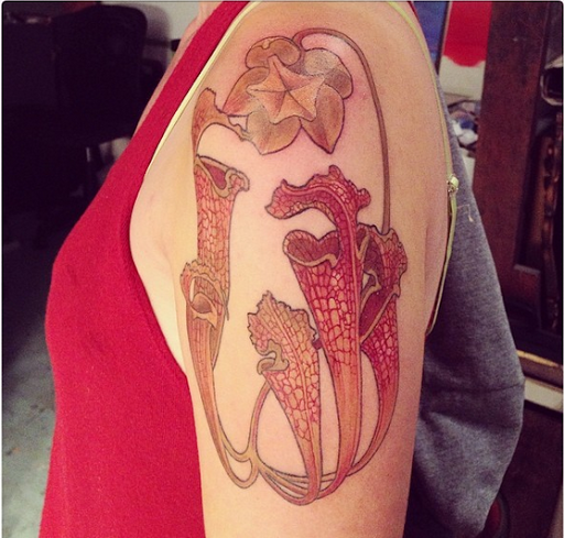 Tattoo Shop «Thistle and Pearl Tattoo», reviews and photos, 107 Merrimon Ave #310, Asheville, NC 28801, USA