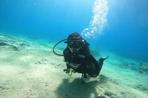 Undersea World Scuba Diving Centre image