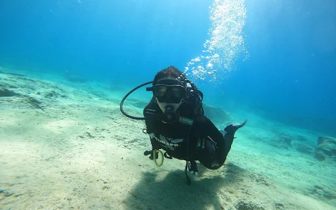 Undersea World Scuba Diving Centre image