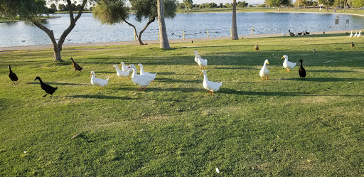 Park «Cesar Chavez Park», reviews and photos, 7858 S 35th Ave, Laveen Village, AZ 85339, USA