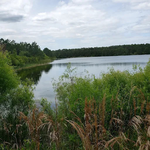 Cecil Field Conservation Corridor