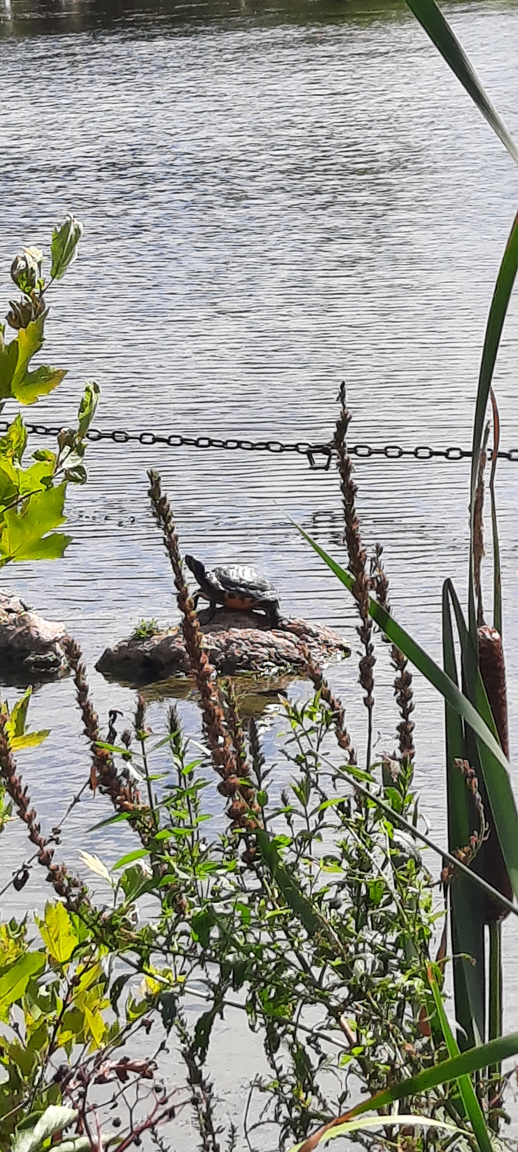 Photo n° 3 de l'avis de Val.r fait le 24/08/2020 à 15:09