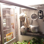 Photo n°2 de l'avis de Rafael.a fait le 09/08/2020 à 21:38 sur le  Da Rinaldi à Rimini