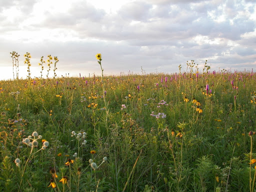 Park «Browns Point Light House Park», reviews and photos, 201 Tulalip St NE, Tacoma, WA 98422, USA