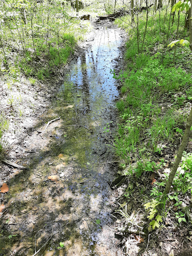 Nature Preserve «Meltzer Woods», reviews and photos, 1522 S 600 E, Shelbyville, IN 46176, USA