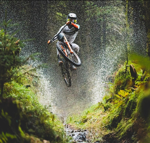 Comentarii opinii despre Сервиз за велосипеди The wild bike