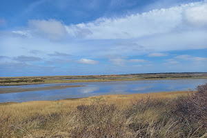 Vogelkijkscherm